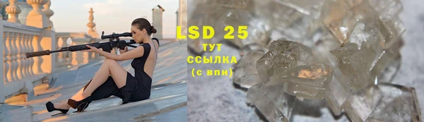 сатива Весьегонск