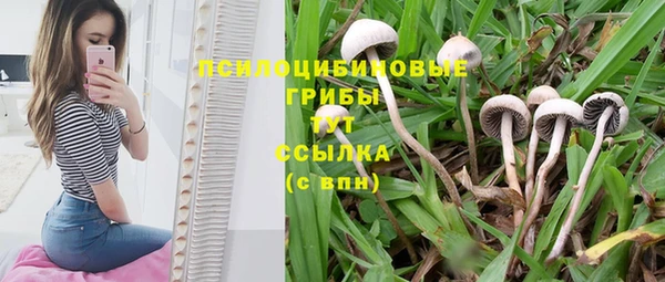 не бодяженный Алзамай