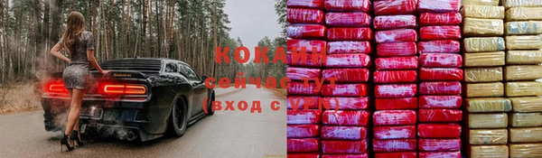 СК Абаза